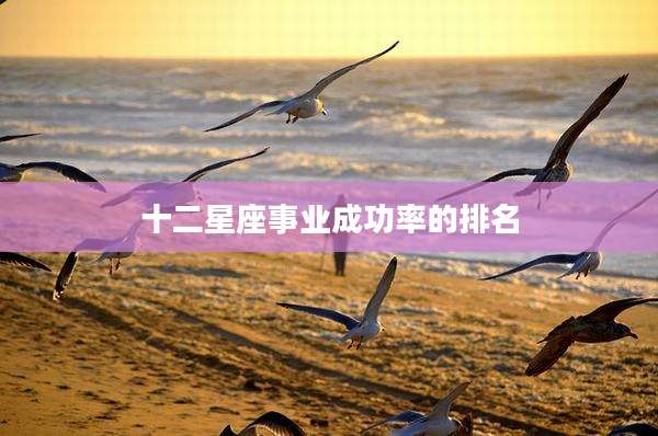 十二星座事业成功率的排名