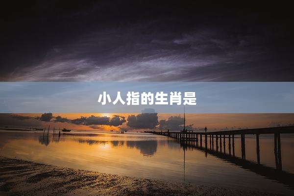 小人指的生肖是