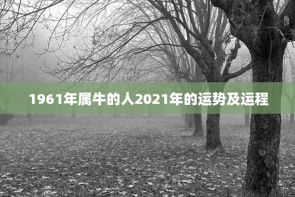 1961年属牛的人2021年的运势及运程