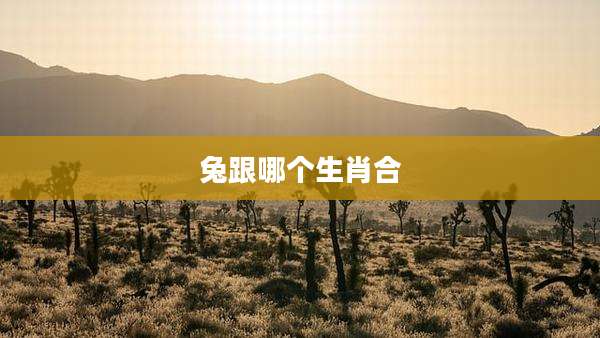 兔跟哪个生肖合