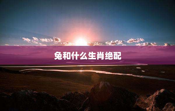 兔和什么生肖绝配