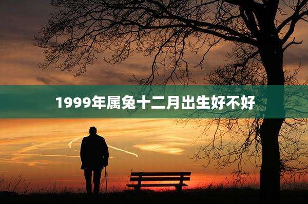 1999年属兔十二月出生好不好