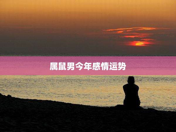 属鼠男今年感情运势