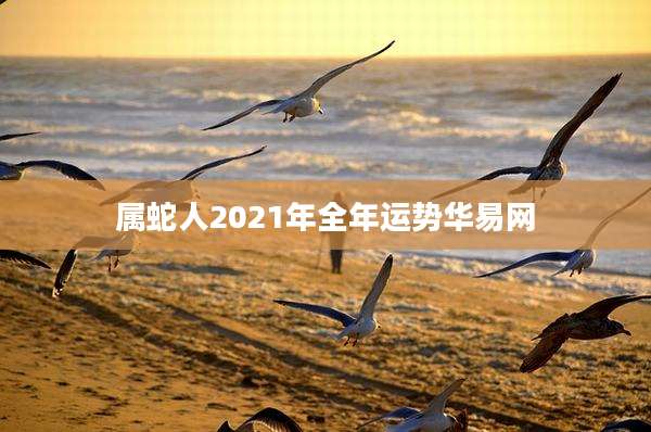 属蛇人2021年全年运势华易网