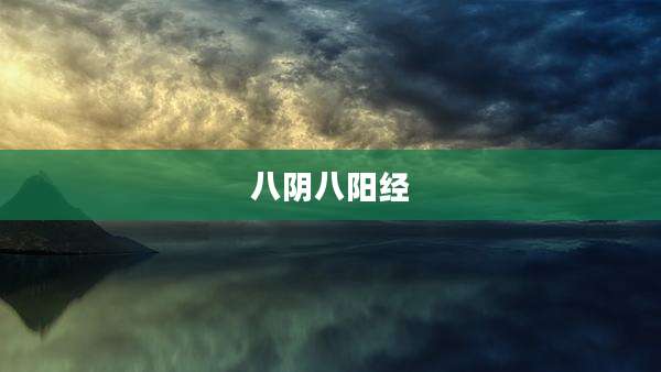 八阴八阳经