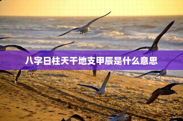 八字日柱天干地支甲辰是什么意思