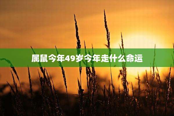 属鼠今年49岁今年走什么命运