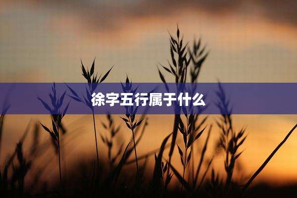 徐字五行属于什么