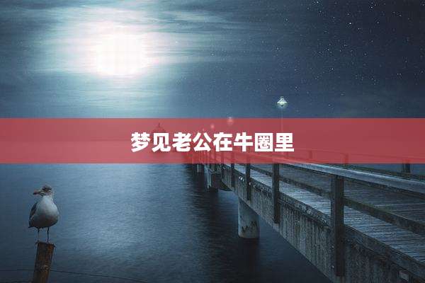 梦见老公在牛圈里