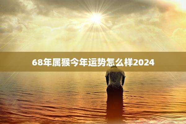 68年属猴今年运势怎么样2024