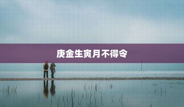 庚金生寅月不得令