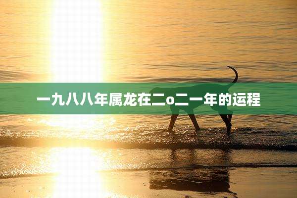 一九八八年属龙在二o二一年的运程