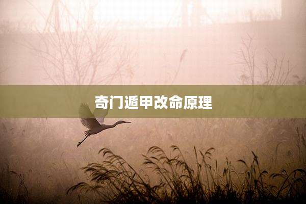 奇门遁甲改命原理