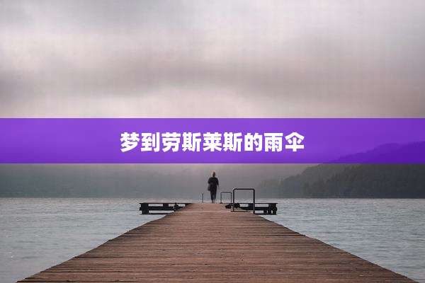 梦到劳斯莱斯的雨伞