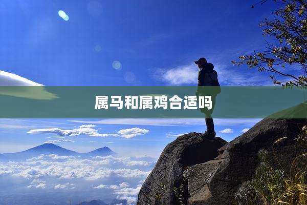 属马和属鸡合适吗