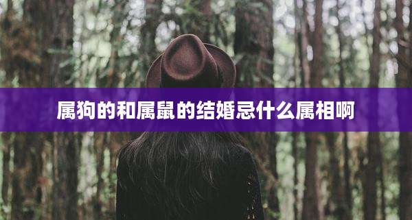 属狗的和属鼠的结婚忌什么属相啊
