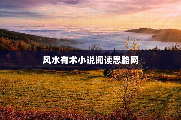 风水有术小说阅读思路网