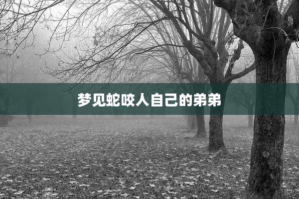 梦见蛇咬人自己的弟弟