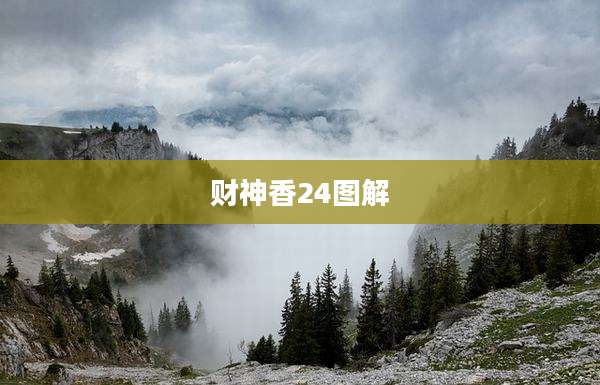 财神香24图解
