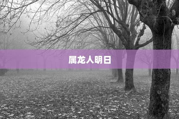 属龙人明日