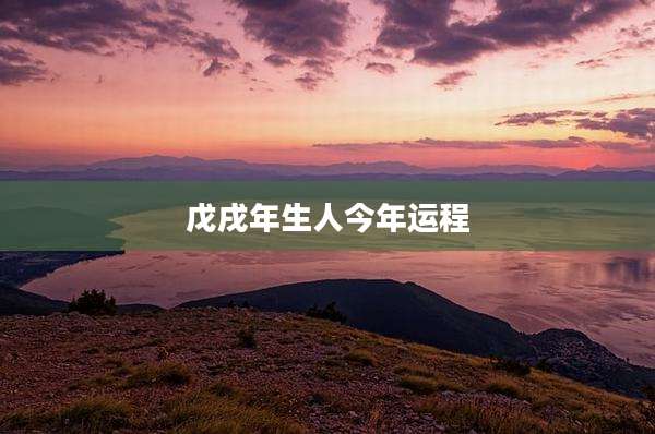 戊戌年生人今年运程