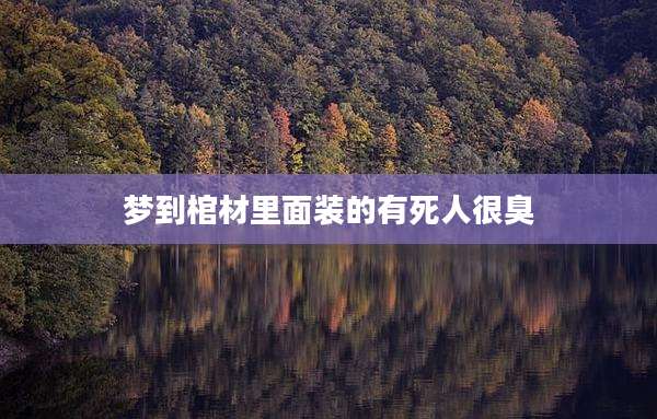 梦到棺材里面装的有死人很臭