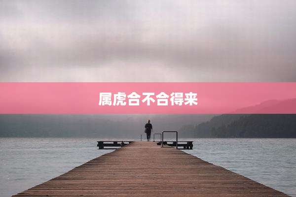 属虎合不合得来