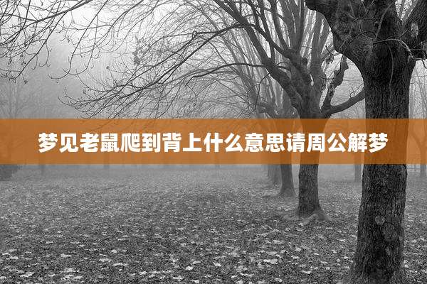 梦见老鼠爬到背上什么意思请周公解梦