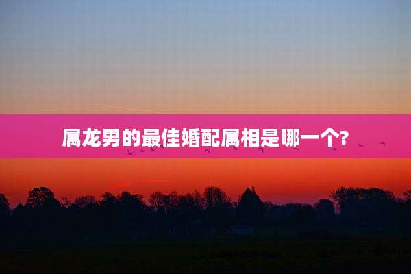 属龙男的最佳婚配属相是哪一个?
