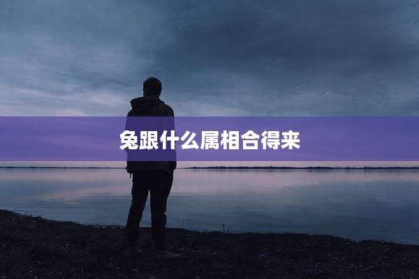 兔跟什么属相合得来