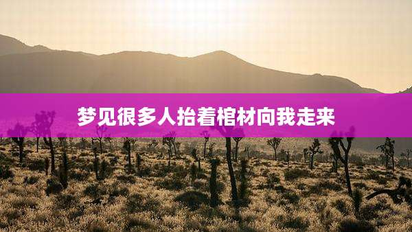 梦见很多人抬着棺材向我走来