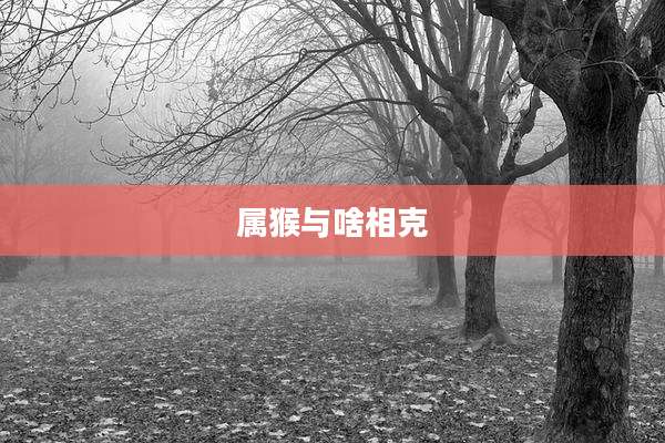 属猴与啥相克