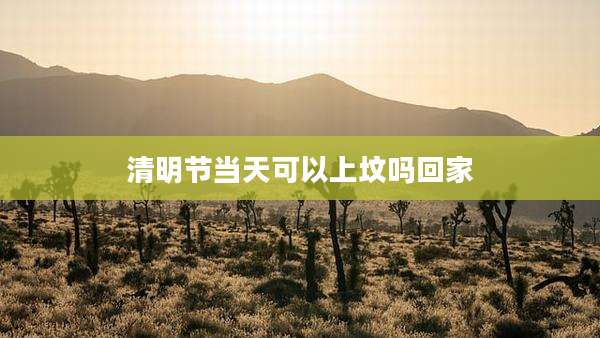 清明节当天可以上坟吗回家