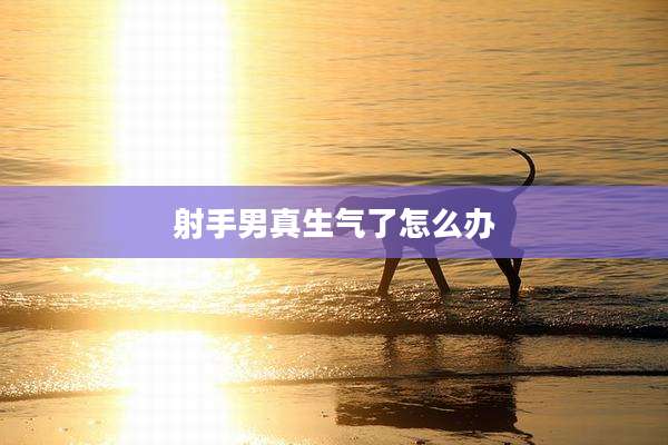 射手男真生气了怎么办