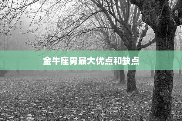 金牛座男最大优点和缺点