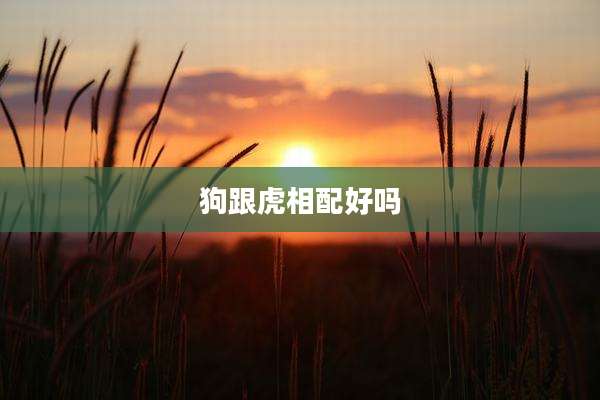 狗跟虎相配好吗