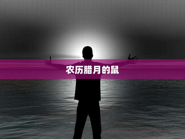 农历腊月的鼠