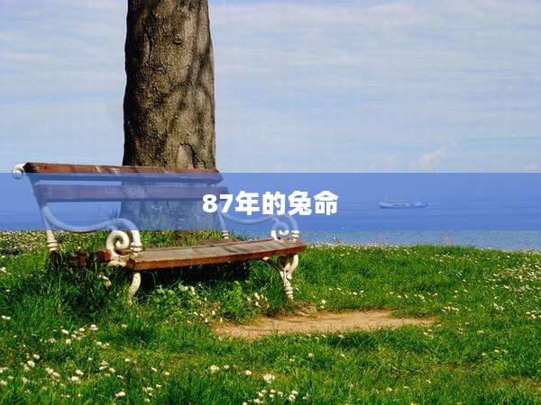 87年的兔命