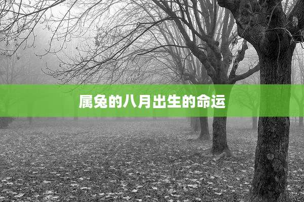 属兔的八月出生的命运