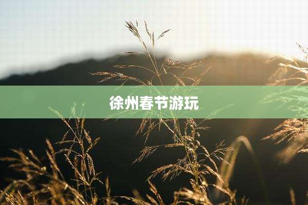 徐州春节游玩