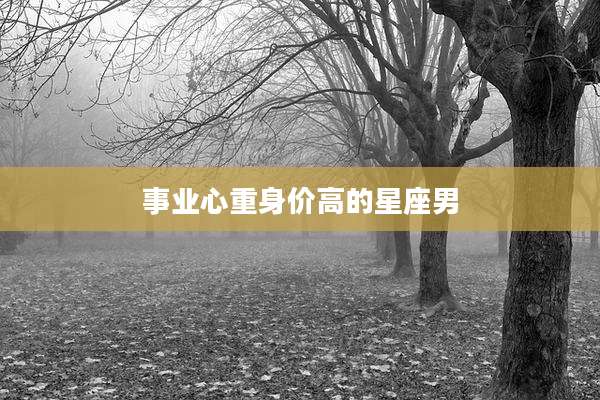 事业心重身价高的星座男
