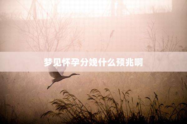梦见怀孕分娩什么预兆啊