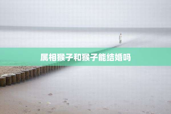 属相猴子和猴子能结婚吗
