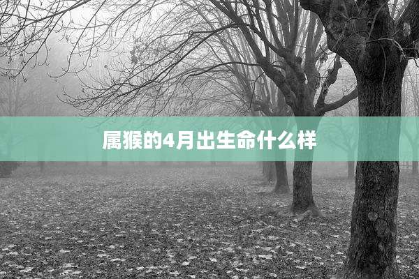 属猴的4月出生命什么样