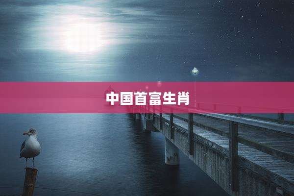 中国首富生肖