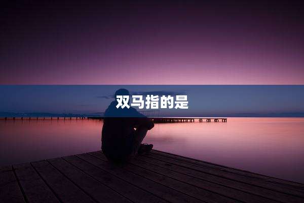 双马指的是