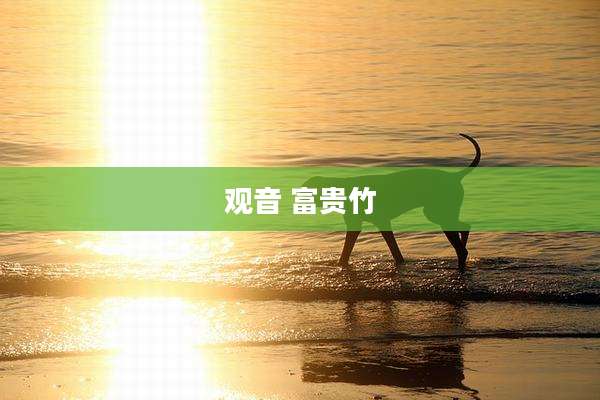 观音 富贵竹