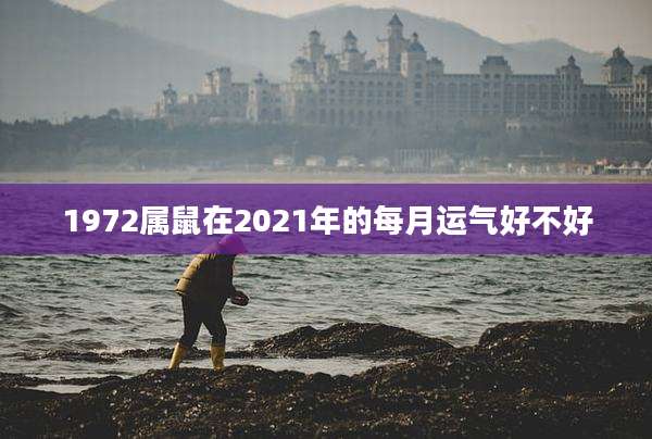 1972属鼠在2021年的每月运气好不好