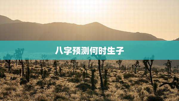 八字预测何时生子