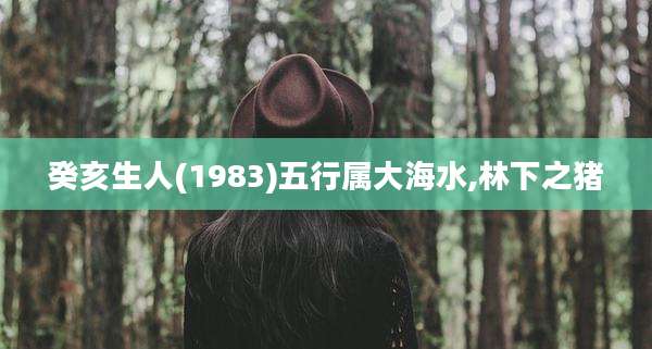 癸亥生人(1983)五行属大海水,林下之猪
